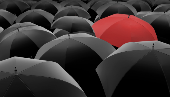 business umbrella insurance quotes from ssig